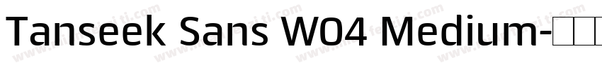 Tanseek Sans W04 Medium字体转换